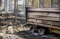 [ẢNH] Không riêng gì Việt Nam, các nước châu Âu cũng khô quắt với nắng nóng hè này