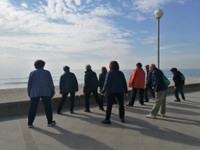 [ẢNH] Muôn kiểu giải trí sáng tạo trên thế giới giữa mùa dịch Covid-19