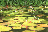 Xuôi dòng Sào Khê khám phá hang động Tràng An