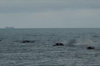 [ẢNH] Quân đội Trung Quốc bất ngờ diễn tập đổ bộ rầm rộ nhằm mục đích gì?