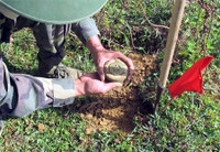 [ẢNH] Tổng thống Trump bất ngờ gỡ bỏ lệnh cấm dùng mìn chống bộ binh