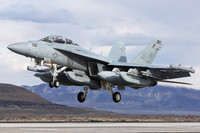 [ẢNH] EA-18G ‘độc cô cầu bại’ trong làng tiêm kích tác chiến điện tử