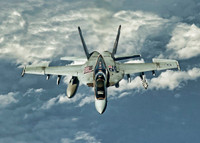 [ẢNH] EA-18G ‘độc cô cầu bại’ trong làng tiêm kích tác chiến điện tử