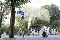 Hà Nội đẹp dịu dàng mùa hoa tháng 3