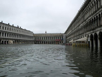 [ẢNH] Khách du lịch bì bõm lội nước… khi tới Venice, Italy