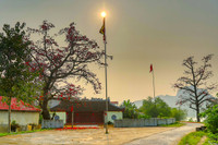 Mê mẩn với hoa gạo nở đỏ rực