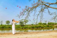 Mê mẩn với hoa gạo nở đỏ rực