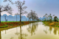 Mê mẩn với hoa gạo nở đỏ rực