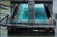 [ẢNH] Không riêng gì Việt Nam, các nước châu Âu cũng khô quắt với nắng nóng hè này