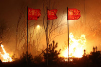 [ẢNH] Hiện trường vụ cháy rừng tàn khốc ở Hàn Quốc