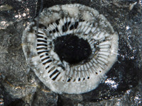 Khám phá 1 trong 13 trải nghiệm thú vị nhất tại Việt Nam theo CNN