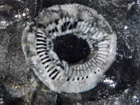 Khám phá 1 trong 13 trải nghiệm thú vị nhất tại Việt Nam theo CNN