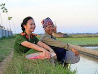 Những chiến sĩ công an hăng hái xuống đồng giúp dân cấy lúa