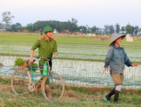 Những chiến sĩ công an hăng hái xuống đồng giúp dân cấy lúa