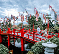 Khám phá khu vườn 