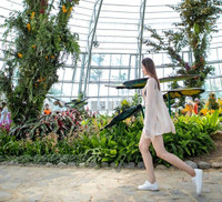 Khám phá khu vườn 