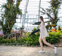 Khám phá khu vườn 