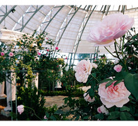 Khám phá khu vườn 