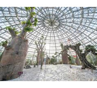 Khám phá khu vườn 