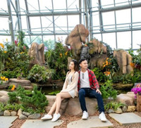 Khám phá khu vườn 