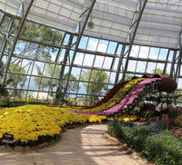 Khám phá khu vườn 