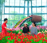 Khám phá khu vườn 