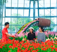 Khám phá khu vườn 