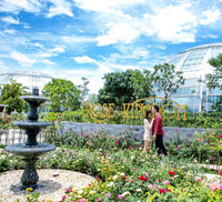 Khám phá khu vườn 