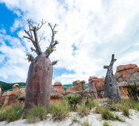 Khám phá khu vườn 