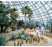 Khám phá khu vườn 