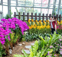 Khám phá khu vườn 