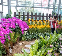 Khám phá khu vườn 