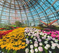 Khám phá khu vườn 