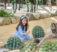 Khám phá khu vườn 