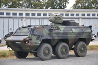 [ẢNH] Tránh tuần lộc, hai xe thiết giáp đâm nhau, 12 lính nhập viện