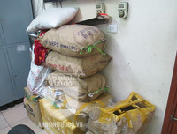 [ẢNH] Vạch trần thủ đoạn tinh vi của những kẻ buôn bán súng hơi nguy hiểm