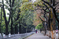 Hà Nội khoảnh khắc giao mùa