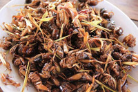 [ẢNH]Ẩm thực đường phố Việt Nam và châu Á dưới góc nhìn của phóng viên phương Tây