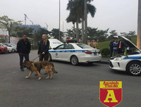 [Ảnh] Sân bay Nội Bài 