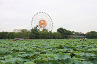 Sắc màu hồ Tây