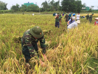 [ẢNH] Giữ vững màu xanh nơi biên cương phía Bắc