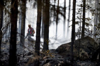 [ẢNH] Không riêng gì Việt Nam, các nước châu Âu cũng khô quắt với nắng nóng hè này