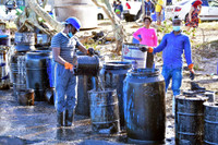 [ẢNH] Tình trạng khẩn cấp ở Mauritius sau sự cố tràn dầu