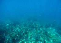 Báo Mỹ lý giải nguyên nhân Hội An được bình chọn là địa điểm đến tốt nhất thế giới