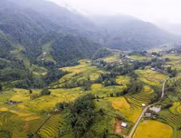 Quyến rũ như thung lũng Mường Hoa mùa lúa chín