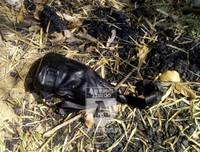 [Ảnh] Toàn cảnh hiện trường vụ dùng súng bắn chết người gây chấn động Kon Tum