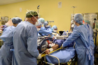 [ẢNH] Gần 664.000 người nhiễm và hơn 30.880 người tử vong vì Covid-19.