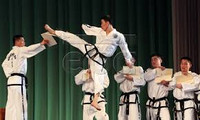 Hai miền Triều Tiên biểu diễn taekwondo chung