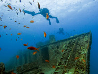 [Ảnh] Khám phá những bí mật thú vị dưới đáy đại dương