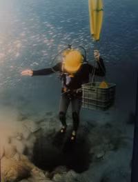 [Ảnh] Khám phá những bí mật thú vị dưới đáy đại dương